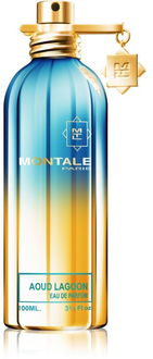 Montale Aoud Lagoon parfumovaná voda unisex 100 ml