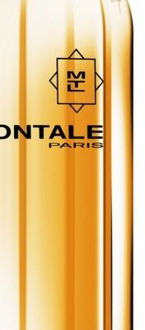 Montale Aoud Leather parfumovaná voda unisex 100 ml 5