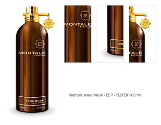 Montale Aoud Musk - EDP - TESTER 100 ml 1