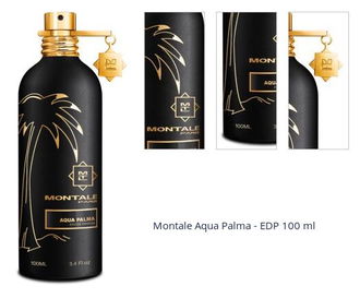 Montale Aqua Palma - EDP 100 ml 1