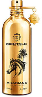 Montale Arabians - EDP - TESTER 100 ml