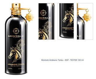 Montale Arabians Tonka - EDP - TESTER 100 ml 1