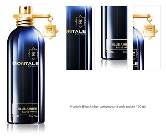 Montale Blue Amber parfumovaná voda unisex 100 ml 1