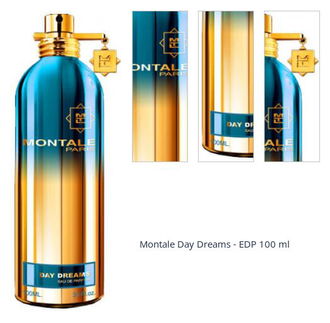 Montale Day Dreams - EDP 100 ml 1