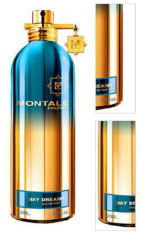 Montale Day Dreams - EDP 100 ml 3