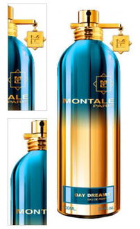 Montale Day Dreams - EDP 100 ml 4