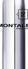 Montale Fruits of the Musk - EDP - TESTER 100 ml 2