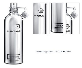 Montale Ginger Musk - EDP - TESTER 100 ml 1