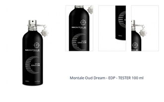 Montale Oud Dream - EDP - TESTER 100 ml 1