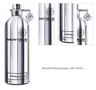 Montale Patchouli Leaves - EDP 100 ml 1