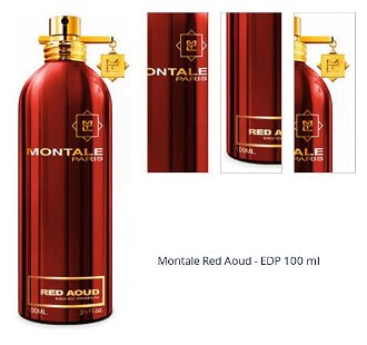 Montale Red Aoud - EDP 100 ml 1