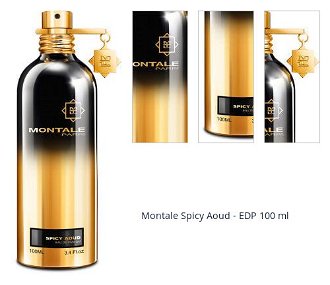 Montale Spicy Aoud - EDP 100 ml 1