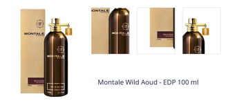 Montale Wild Aoud - EDP 100 ml 1