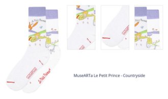 MuseARTa Le Petit Prince - Countryside 1
