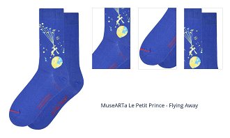 MuseARTa Le Petit Prince - Flying Away 1