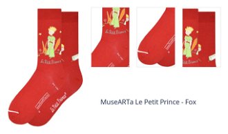 MuseARTa Le Petit Prince - Fox 1