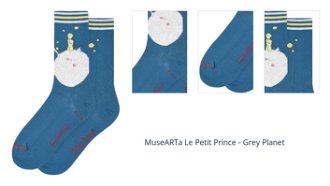 MuseARTa Le Petit Prince - Grey Planet 1