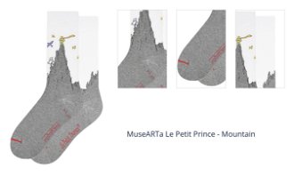 MuseARTa Le Petit Prince - Mountain 1