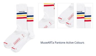 MuseARTa Pantone Active Colours 1