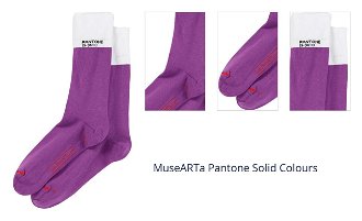 MuseARTa Pantone Solid Colours 1