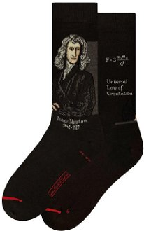 MuseARTa Science & History - Isaac Newton