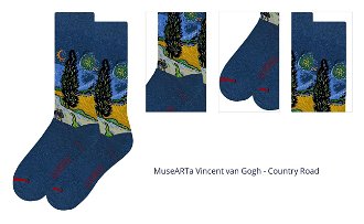 MuseARTa Vincent van Gogh - Country Road 1