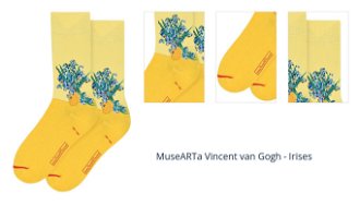 MuseARTa Vincent van Gogh - Irises 1