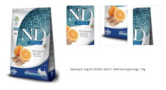N&amp;D dog GF OCEAN ADULT MINI herring/orange - 7kg 1