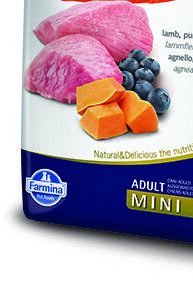 N&amp;D dog GF PUMPKIN ADULT MINI lamb/blueberry - 2,5kg 8