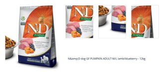 N&amp;D dog GF PUMPKIN ADULT M/L lamb/blueberry - 12kg 1
