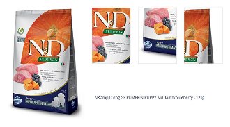 N&amp;D dog GF PUMPKIN PUPPY M/L lamb/blueberry - 12kg 1