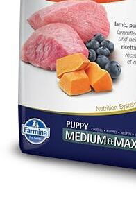 N&amp;D dog GF PUMPKIN PUPPY M/L lamb/blueberry - 2,5kg 8