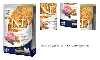 N&amp;D dog LG ADULT MINI LAMB/BLUEBERRY - 7kg 1