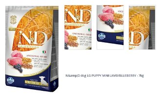 N&amp;D dog LG PUPPY MINI LAMB/BLUEBERRY - 7kg 1