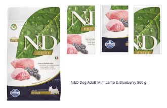 N&D Dog Adult Mini Lamb & Blueberry 800 g 1