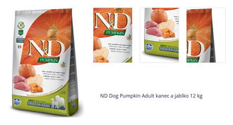 ND Dog Pumpkin Adult kanec a jablko 12 kg 1