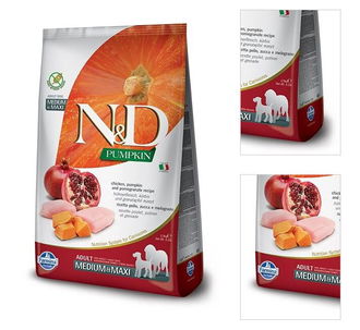 ND Dog Pumpkin Adult kura,granátové jablko 12 kg 3