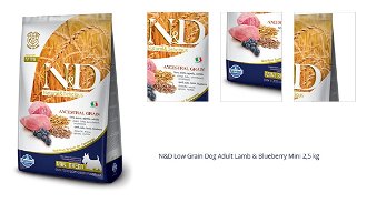 N&D Low Grain Dog Adult Lamb & Blueberry Mini 2,5 kg 1