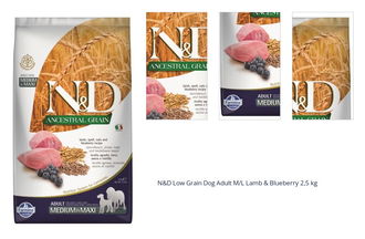 N&D Low Grain Dog Adult M/L Lamb & Blueberry 2,5 kg 1