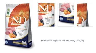 N&D Pumpkin Dog Adult Lamb & Blueberry Mini 2,5 kg 1