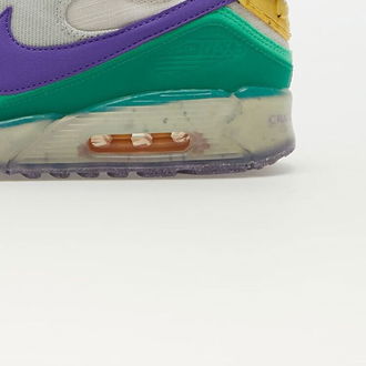 Nike Air Max Terrascape 90 Phantom/ Action Grape-Light Bone 9