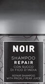 Obnovujúci šampón pre poškodené vlasy Black Noir Repair - 300 ml (250023) + darček zadarmo 5