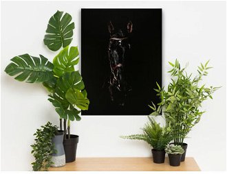 Obraz na plátne Čierny žrebec, 60x80 cm%