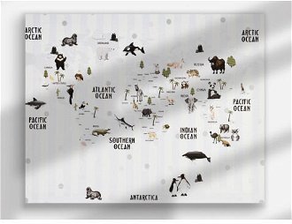 Obraz na plátne Mapa sveta so zvieratami, 40x50 cm%