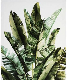 Obraz na plátne Zelené listy, 40x50 cm%