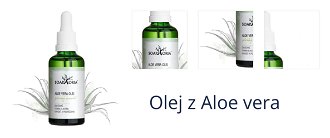 Olej z Aloe vera 1