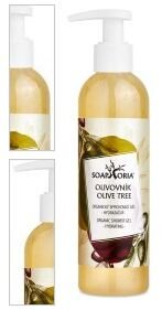 Olivovník - organický sprchovací gél 4