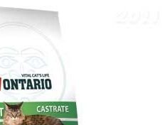 ONTARIO cat  CASTRATE - 10 kg 7