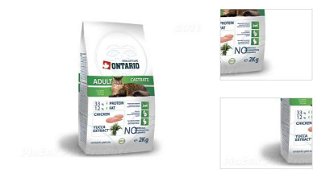 ONTARIO cat  CASTRATE - 10 kg 3
