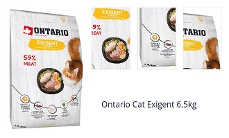 Ontario Cat Exigent 6,5kg 1